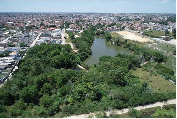 Floresta do Parque Ecológico do Gravatá completa 21 anos / Foto aérea: Danilo Sette