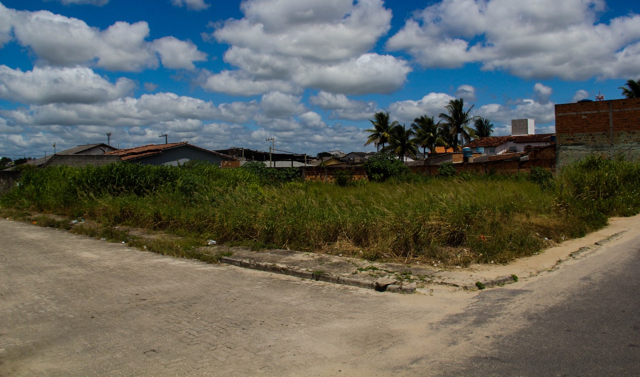 Terrenos em péssimas condições de limpeza são alvo da campanha “Terreno Limpo, Cidade Limpa”