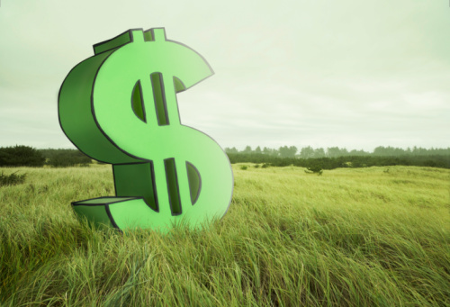 Imagem: Reproduçao DF Rural