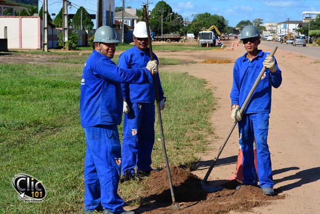 Colaboradores - Willian Neto, Antônio Ribeiro e Crispim Oliveira