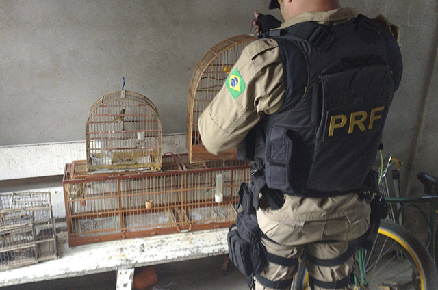Foto: Divulgação PRF