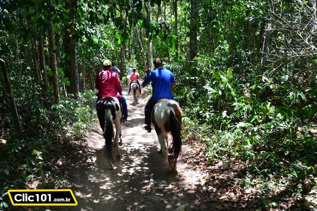 Em meio à Mata Atlântica, em Trancoso