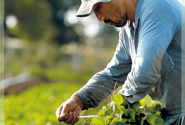 Foto: Antoninho Perri / divulgação