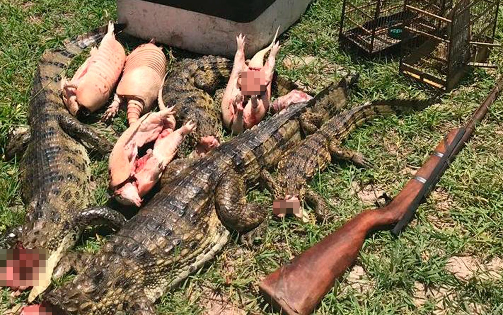 Foto: Divulgação/Polícia Militar