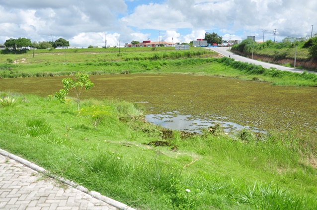 Lagoa antes