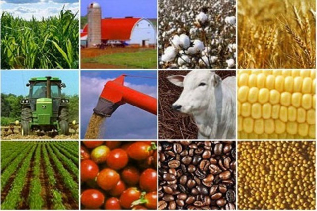 Imagem: Reprodução