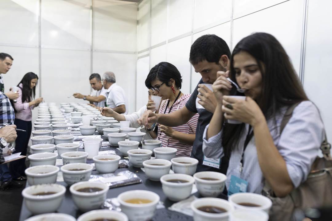 Prova de cafés sic 2018 / Nereu Jr./NITRO