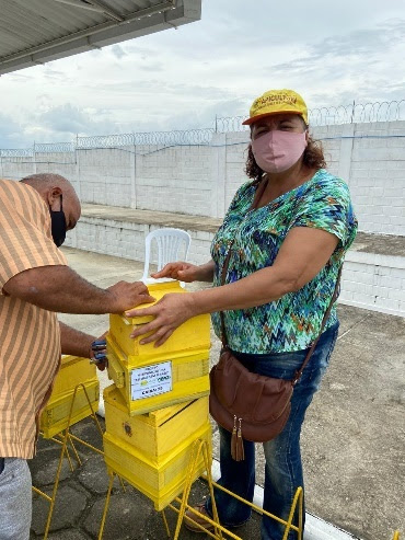 Iniciativa da Suzano incentiva a produção de mel para geração de