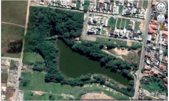 Imagem Google Earth da área em 2021, floresta com 18 anos de plantio, mostrando que recuperar a natureza é possível
