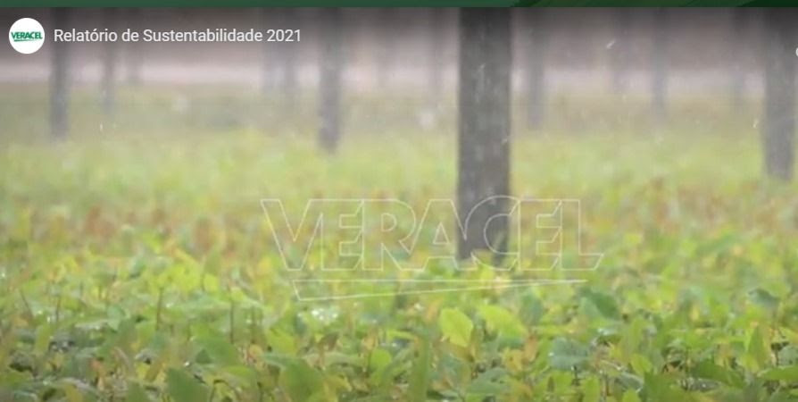  Clique na imagem para assistir o vídeo com os principais resultados de Sustentabilidade da Veracel em 2020