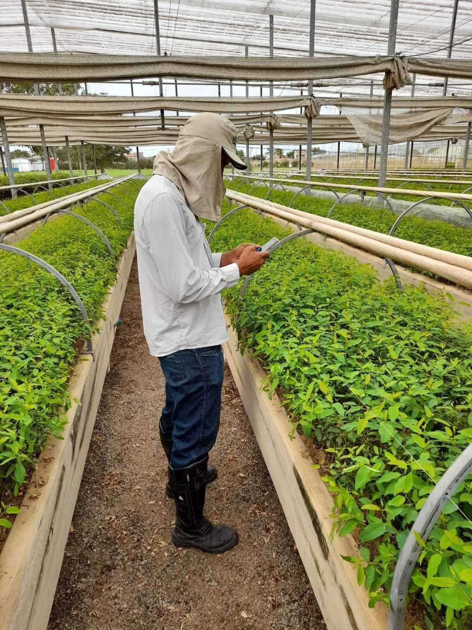 Funcionário da Veracel fazendo a utilização da ferramenta