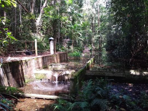 Vertedouro da Estação Veracel (Foto: Divulgação Veracel)