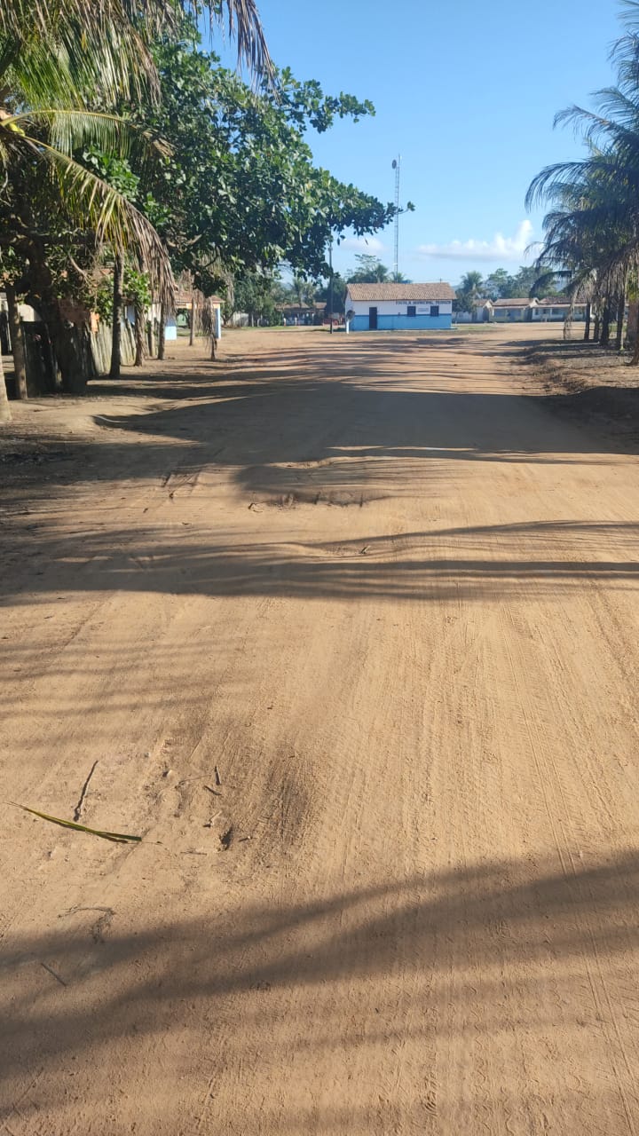  Limpeza e podas de árvores foram realizadas nas localidades rurais