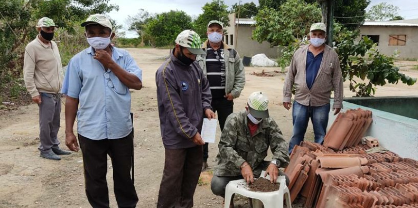 Produtores da agricultura familiar participaram de capacitação sobre a cultura do cacau