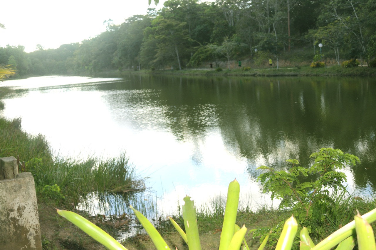 Parque tem área de preservação ambiental de 11 hectares