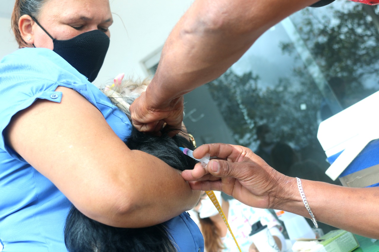 Animal é vacinado contra a raiva no primeiro dia de campanha em Eunápolis