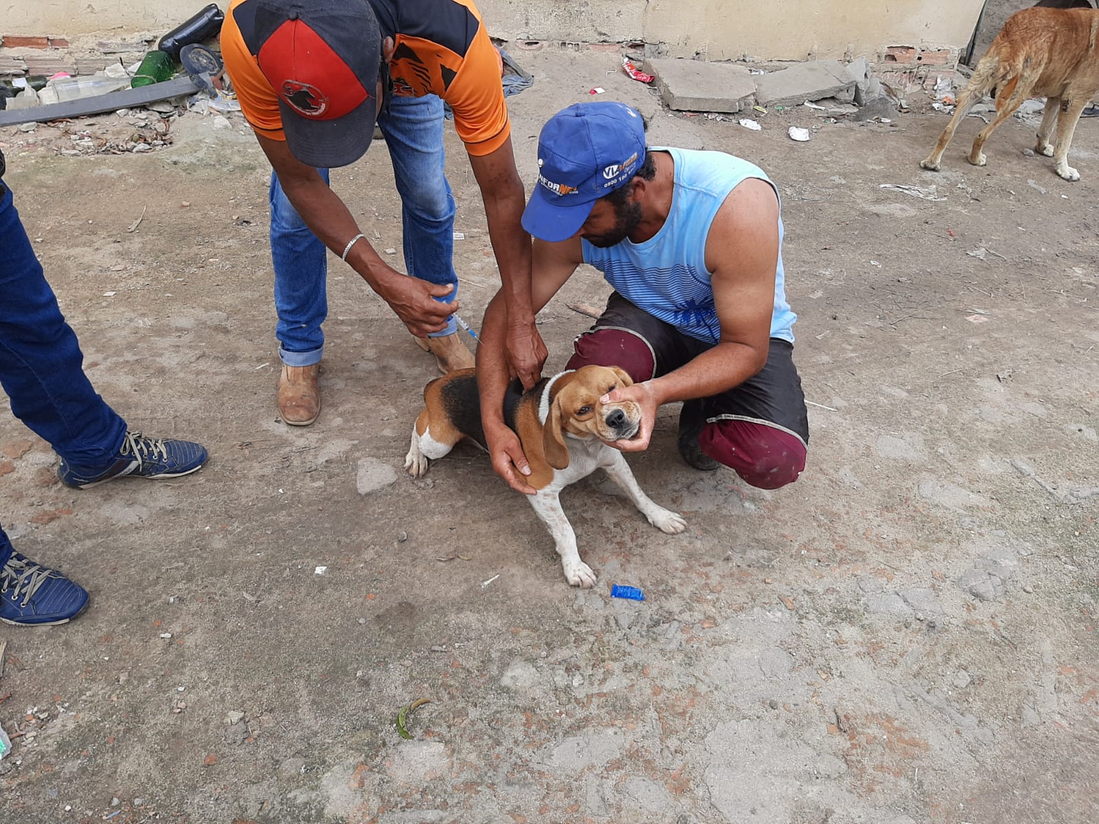 Campanha de Vacinação Antirrábica imuniza cães e gatos em Eunápolis