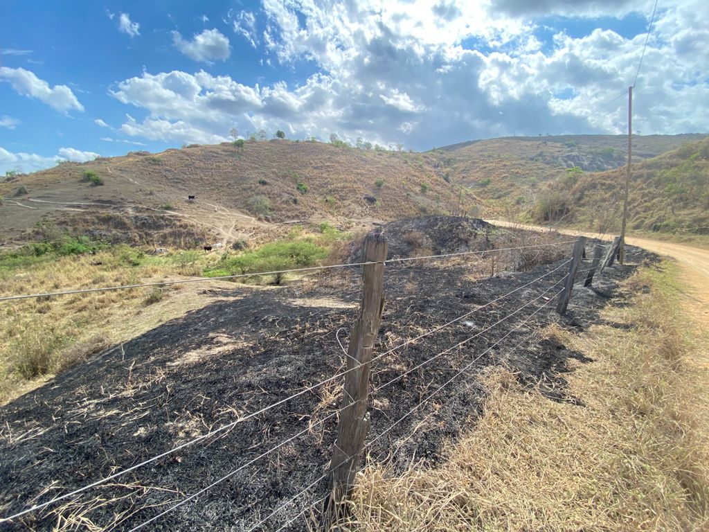 Fazenda Cinco Barras