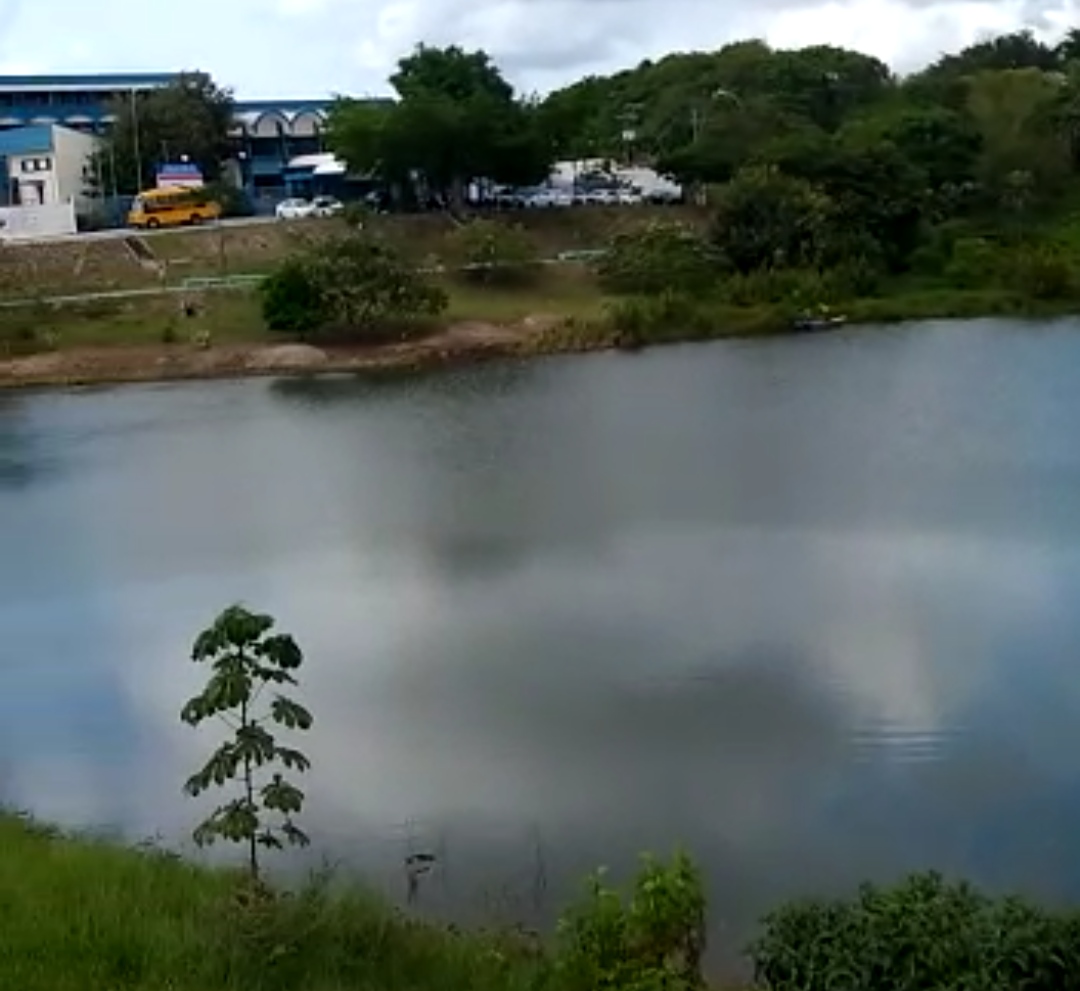 Lagoa durante o trabalho de preservação ambiental