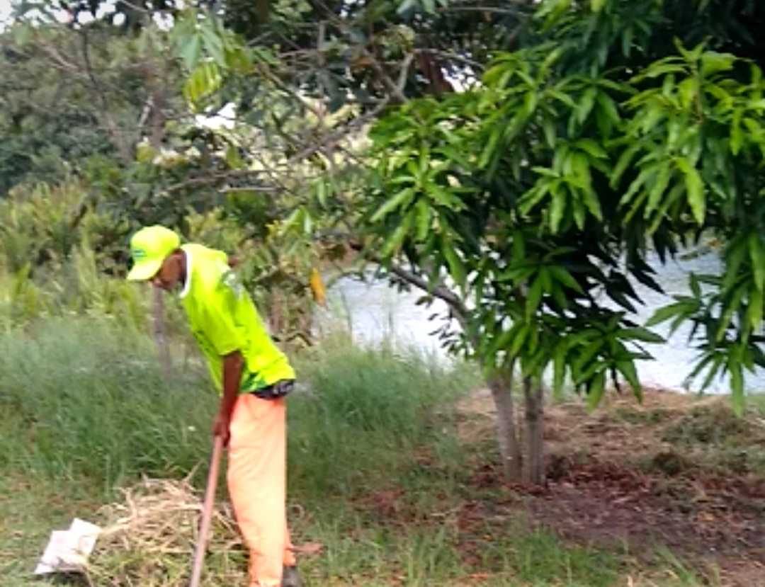  Serviços como retirada de entulhos e capina estão sendo feitos na lagoa do bairro Dinah Borges