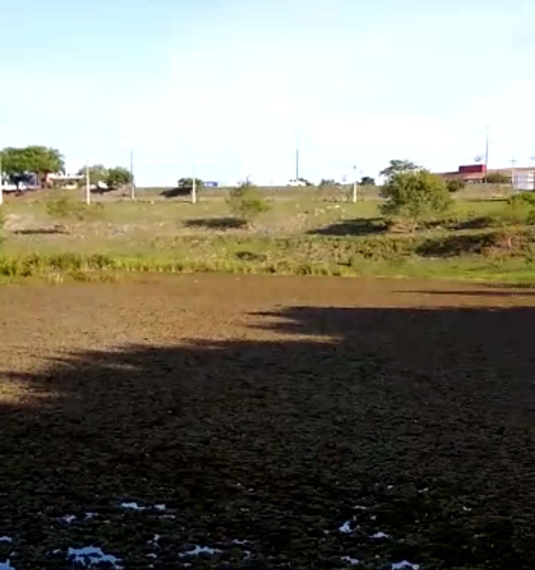 Lagoa do Dinah Borges antes de passar por limpeza da Secretaria de Serviços Públicos