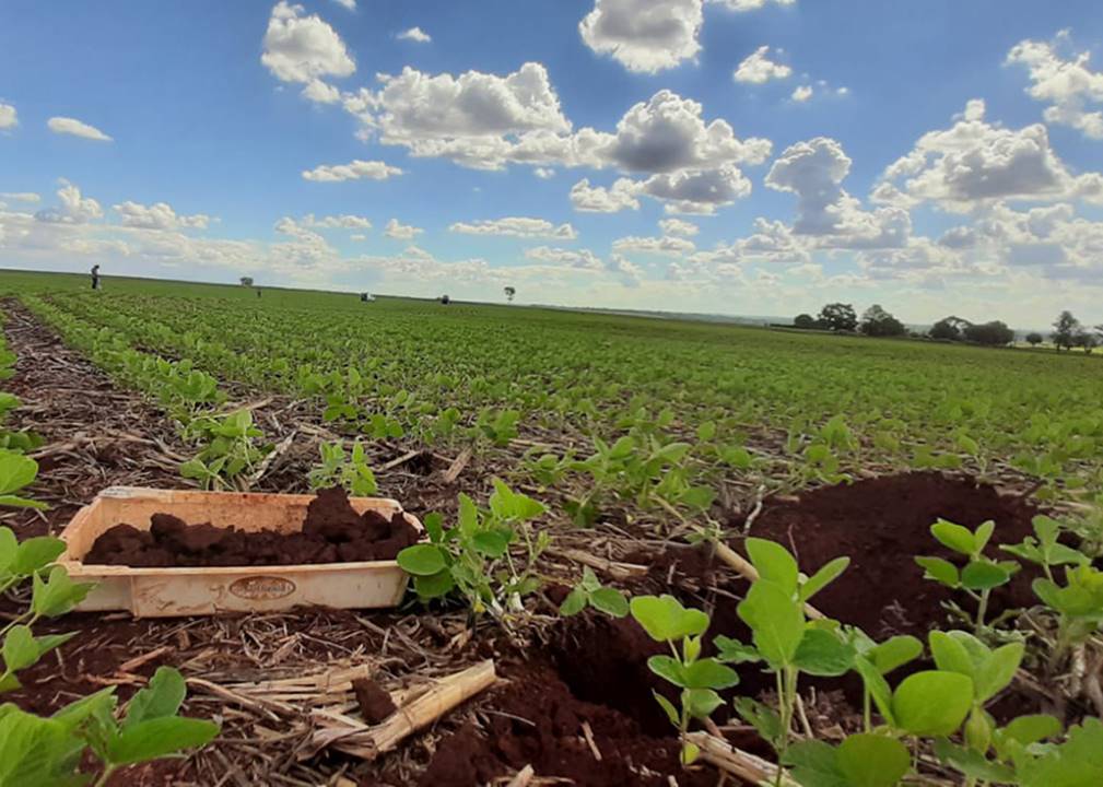 O método permite diagnosticar a qualidade do manejo e a fertilidade do solo para identificar fatores que limitam a produtividade, a estabilidade de produção e a lucratividade