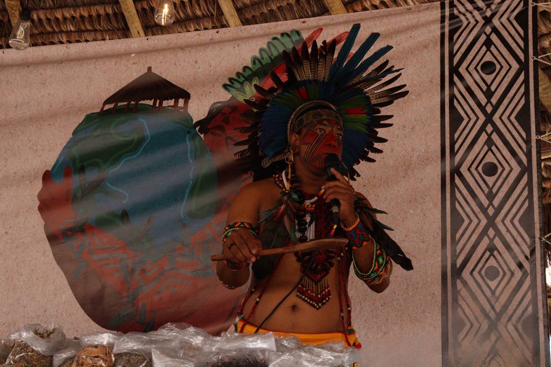Festival Caju de Leitores Na mesa Medicina da Mata, Aktxawã Pataxó, demonstrou o uso das plantas e suas propriedades medicinais