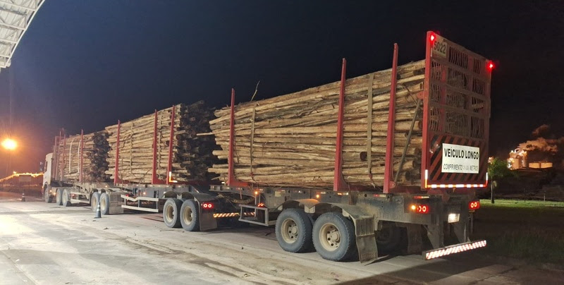 Segurança em qualquer horário: Carreta de transporte de madeira a serviço da Veracel Celulose em operação noturna (Foto: Divulgação)