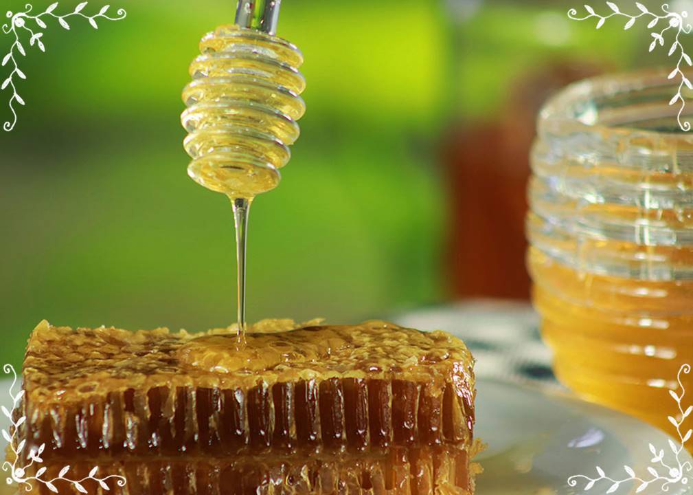 O mercado de mel e derivados no Brasil é um setor em crescimento, tanto na produção quanto na exportação - Foto: Ronaldo Rosa