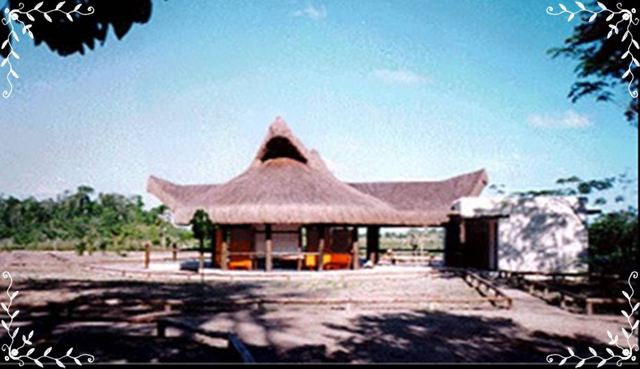 Foto de 1999 dos arquivos da RPPN Estação Veracel. Veja aqui mais fotos da Estação Veracel e da deslumbrante Mata Atlântica conservada pela Reserva.