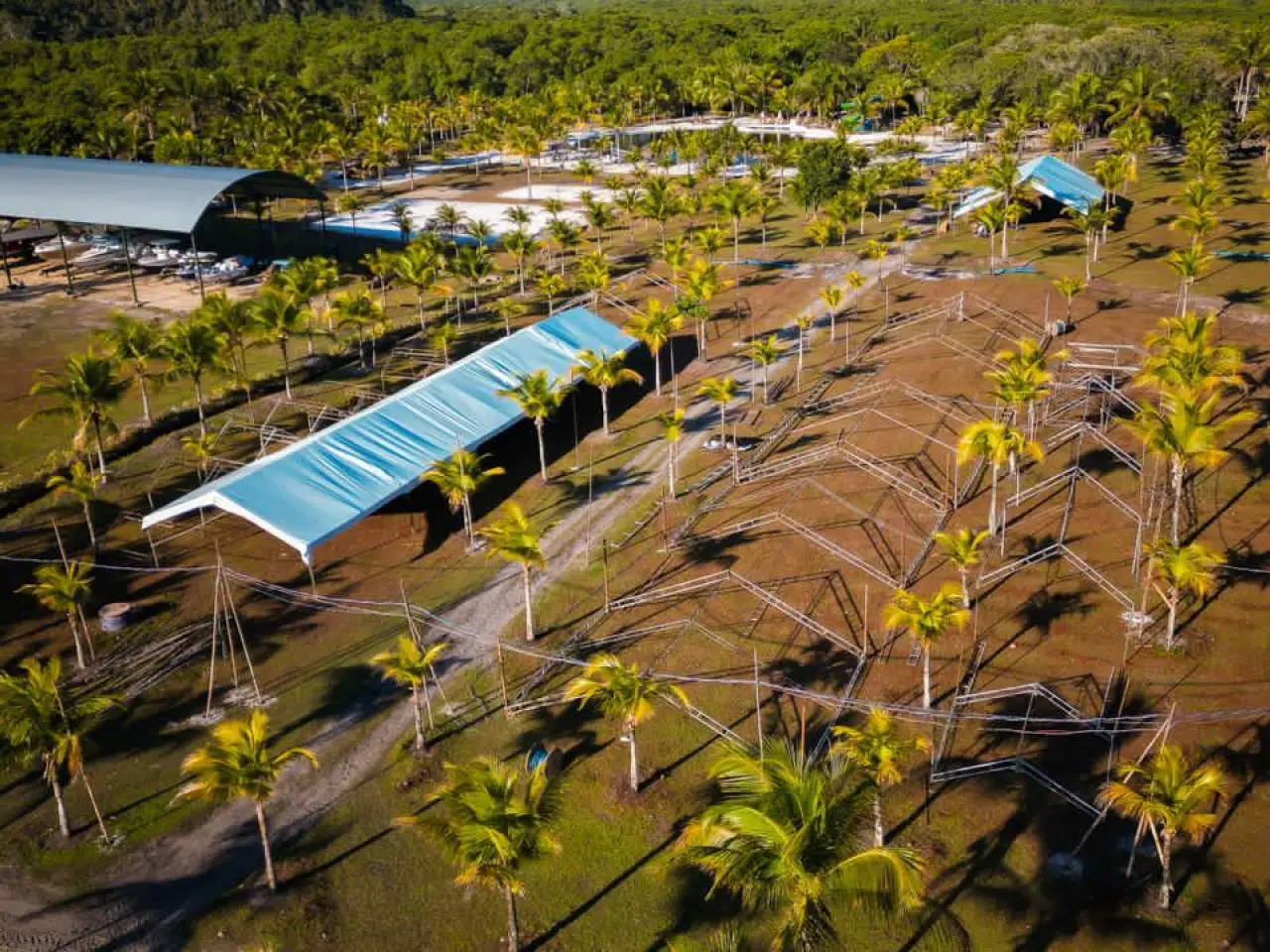  Foto: Henrique Santos