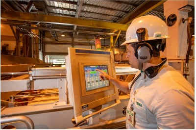 Colaborador da Veracel na fábrica da companhia (Foto: Quelvin Clécio)