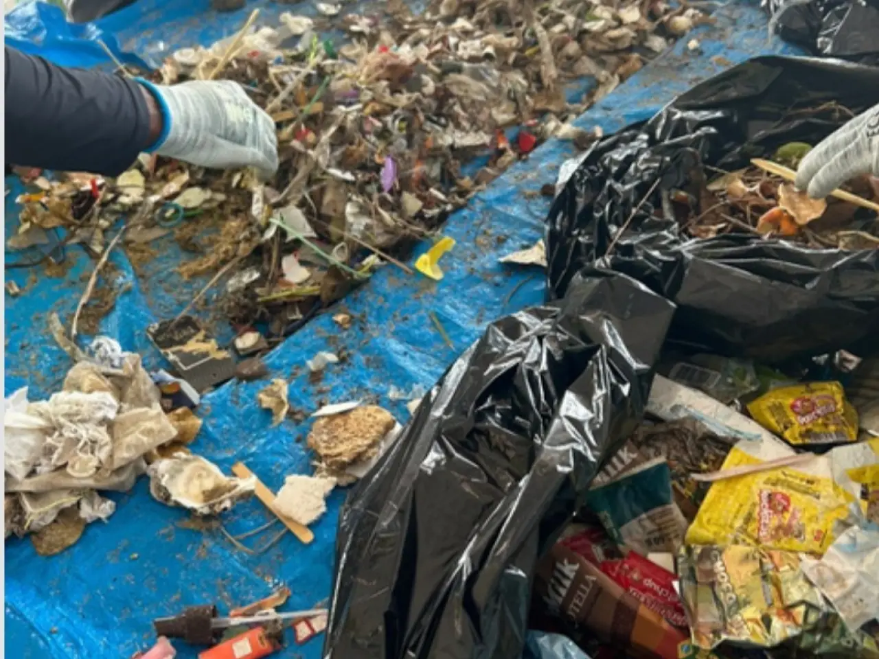 Triagem e registro dos resíduos coletados durante o Dia Mundial da Limpeza 2025, em Porto Seguro. Foto: Acervo do Instituto Socioambiental Plogging Porto Seguro