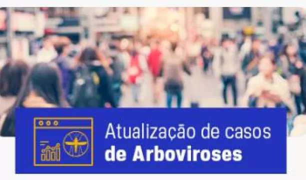 Confira casos confirmados de arboviroses na Costa do Descobrimento, na Bahia e no Brasil