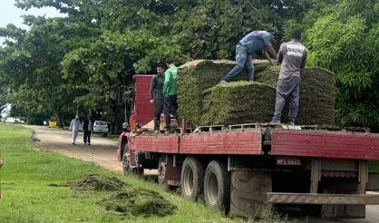 Quadrado de Trancoso recebe ação de revitalização com plantio de grama e cuidados paisagísticos