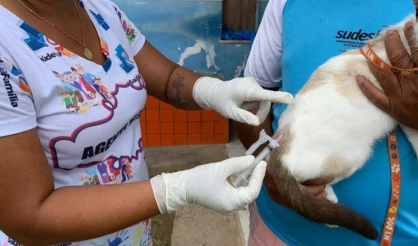 Prefeitura de Itabela promove Dia D da Vacinação Antirrábica para cães e gatos no dia 15 de agosto
