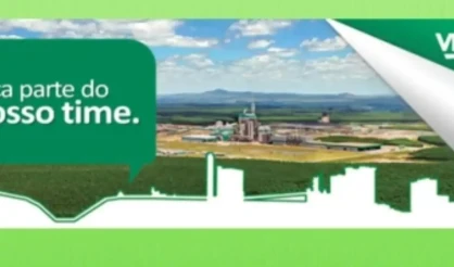 Veracel abre vagas para seis novas posições dentro da companhia