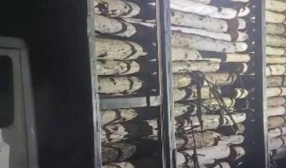 Policiais do 28º BPM apreendem caminhão após denúncia de furto de madeira