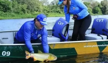 Pesca comercial: confira início do período de defeso nas bacias hidrográficas